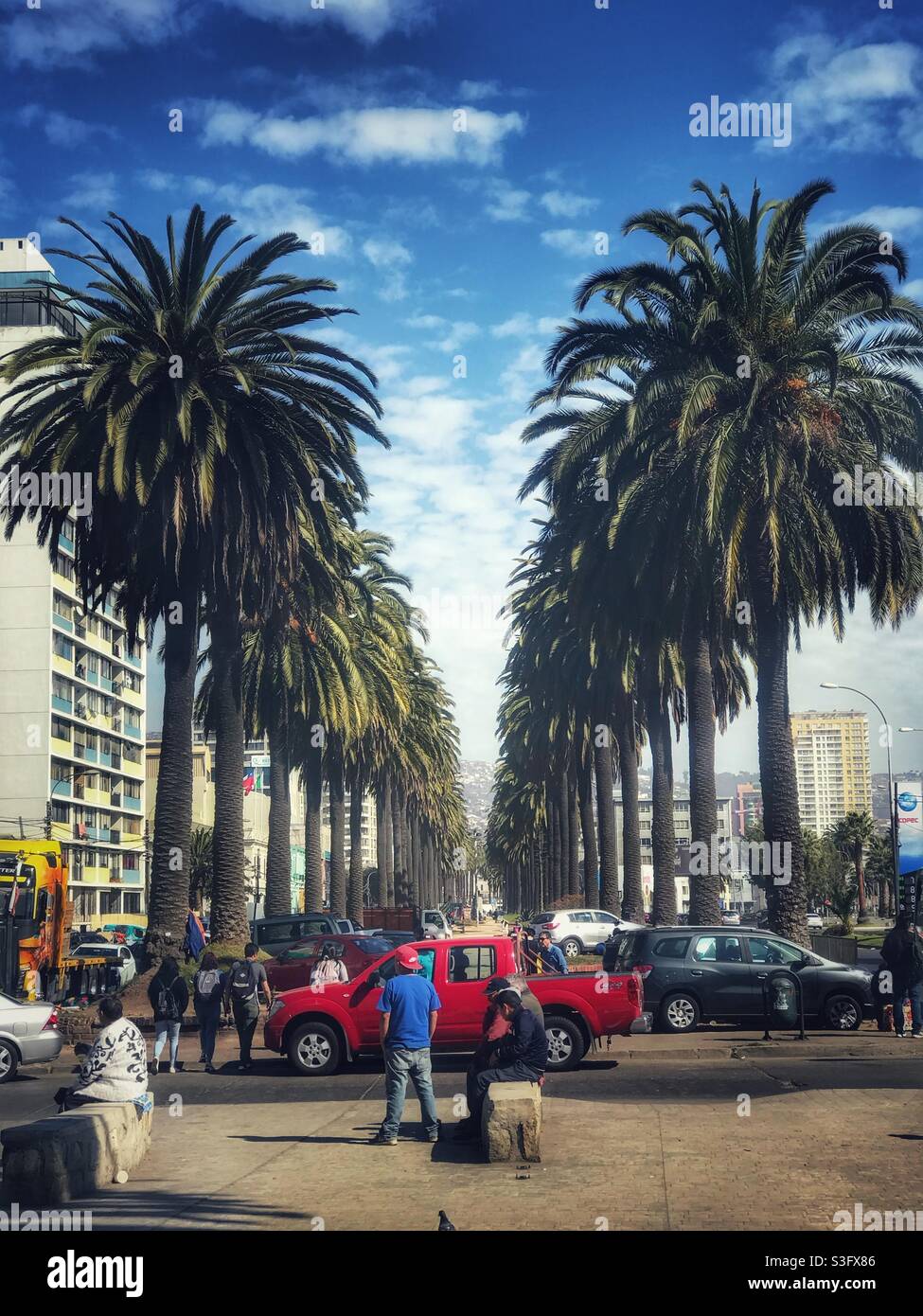 Palmen in Valparaiso, Chile - Smartphone-aufgenommenes Stockfoto