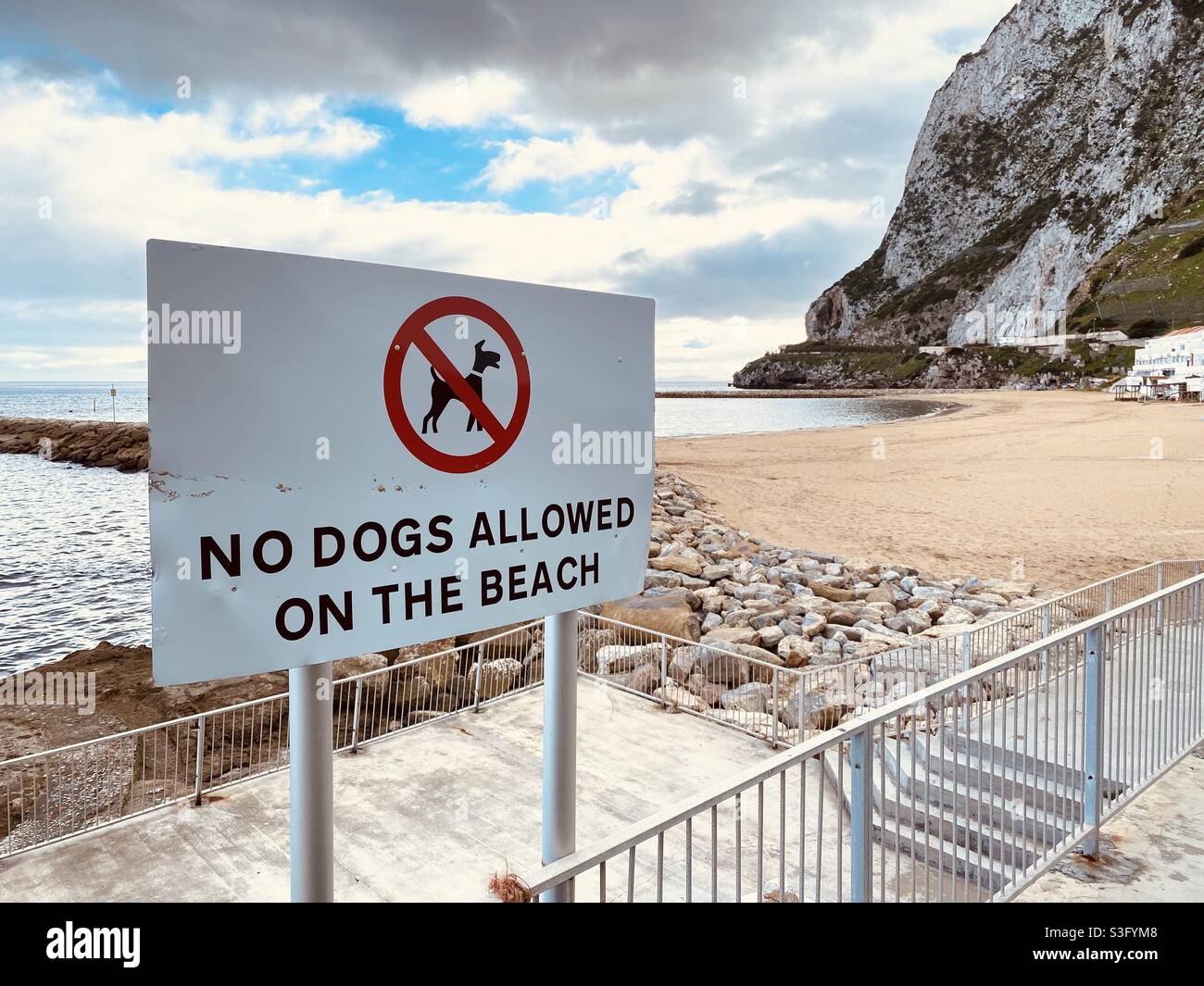 Schild, auf dem steht, dass am Strand keine Hunde erlaubt sind Stockfoto