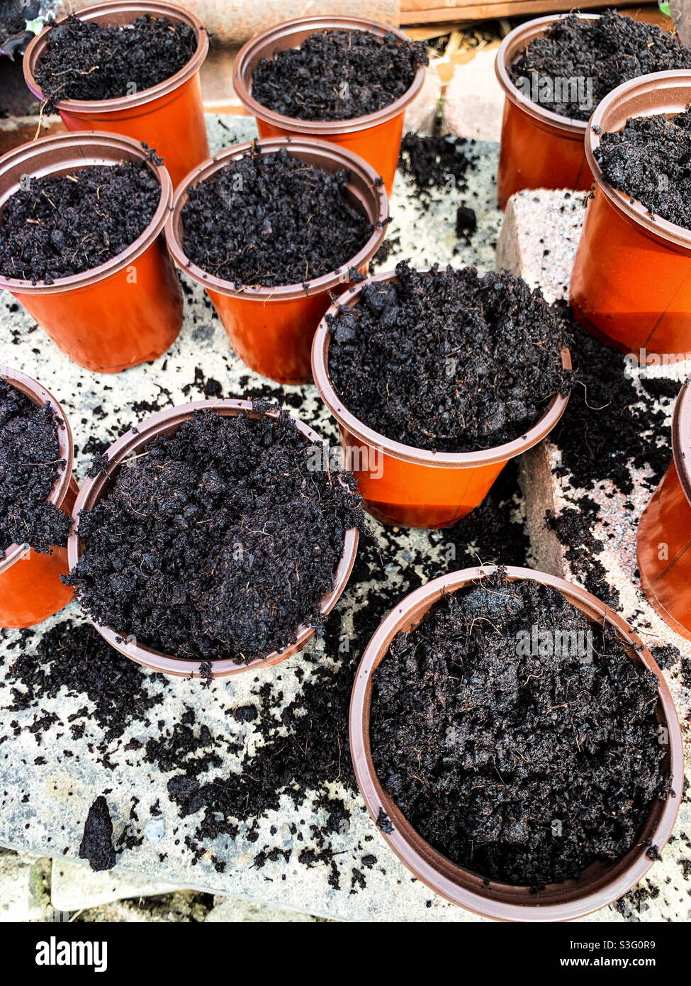 Gefüllte Pflanzentöpfe aus Kunststoff mit Topfkompost Stockfoto