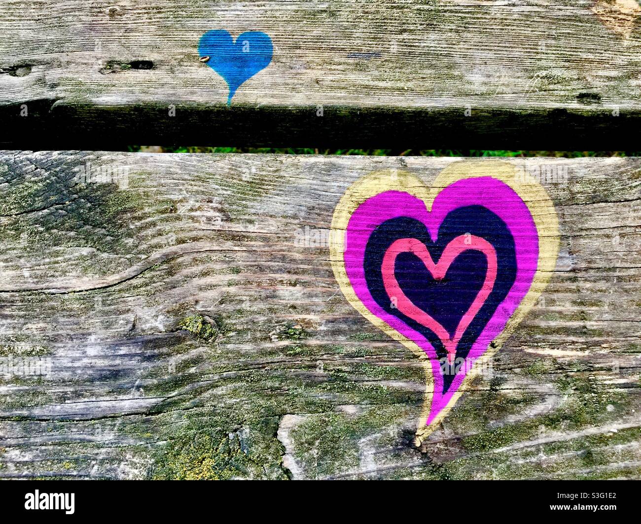 Herz zu Herz; zwei Herzen auf verwittertem Holz gemalt, im Freien in einem Park, Ontario, Kanada. Konzepte: Herz im Inneren, Emotionen, gemischt, Farben - Smartphone-aufgenommenes Stockfoto