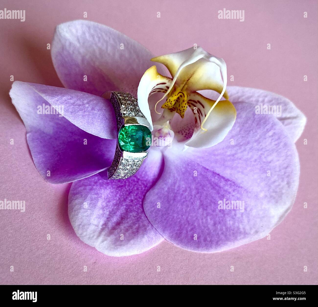 Orchideenblume mit Smaragd und Diamantring Stockfoto