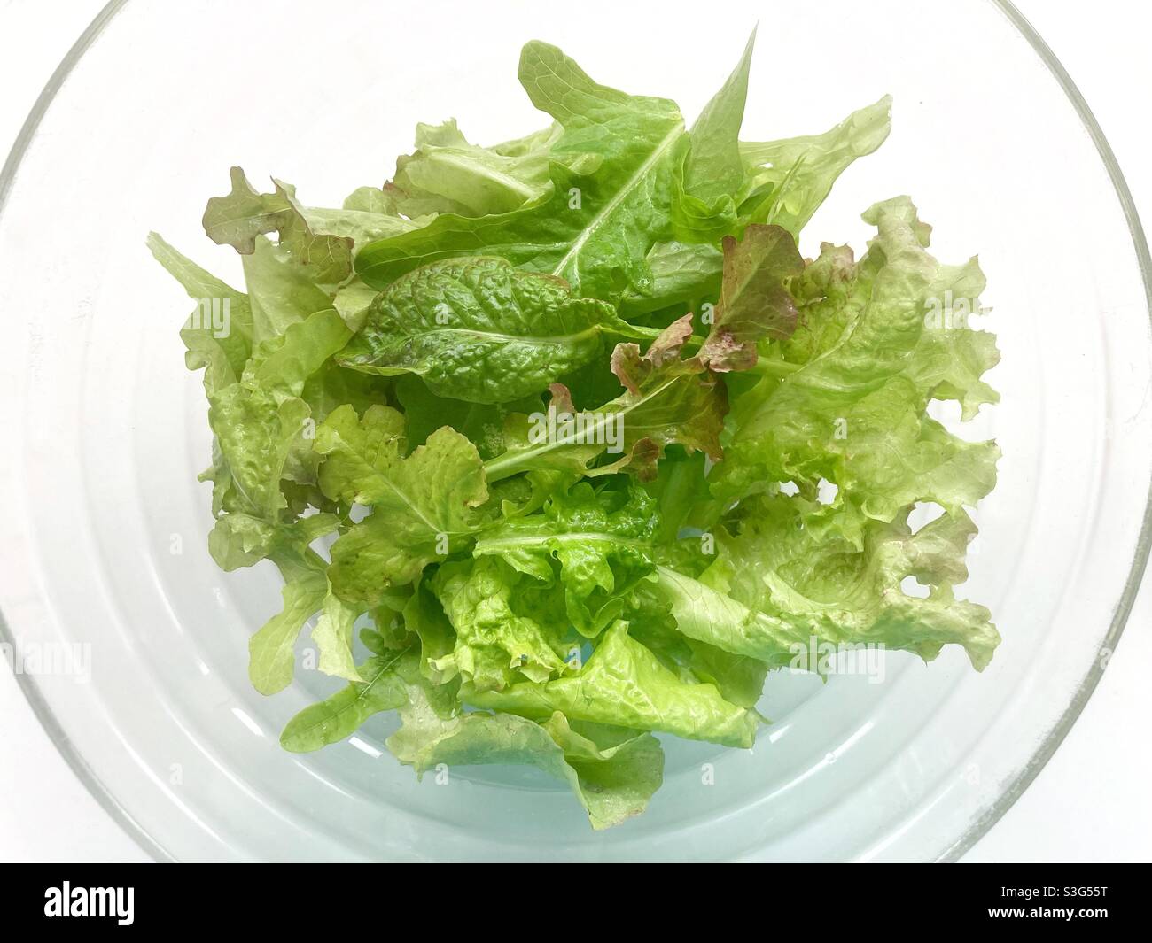 Eine Schüssel mit Baby-Salat Blätter Stockfoto
