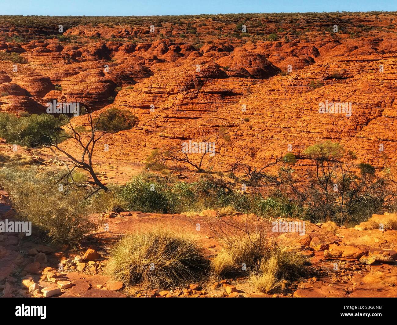 Landschaft am Kings Canyon, Watarrka National Park, Northern Territory, Australien Stockfoto