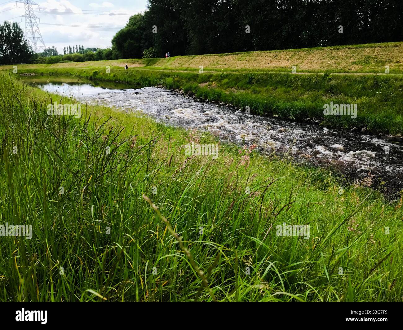 Rauschender Bach in einem Naturpark - Smartphone-aufgenommenes Stockfoto