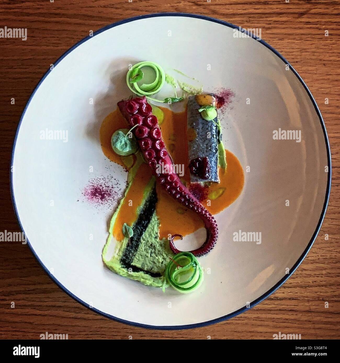 Krake Stockfoto