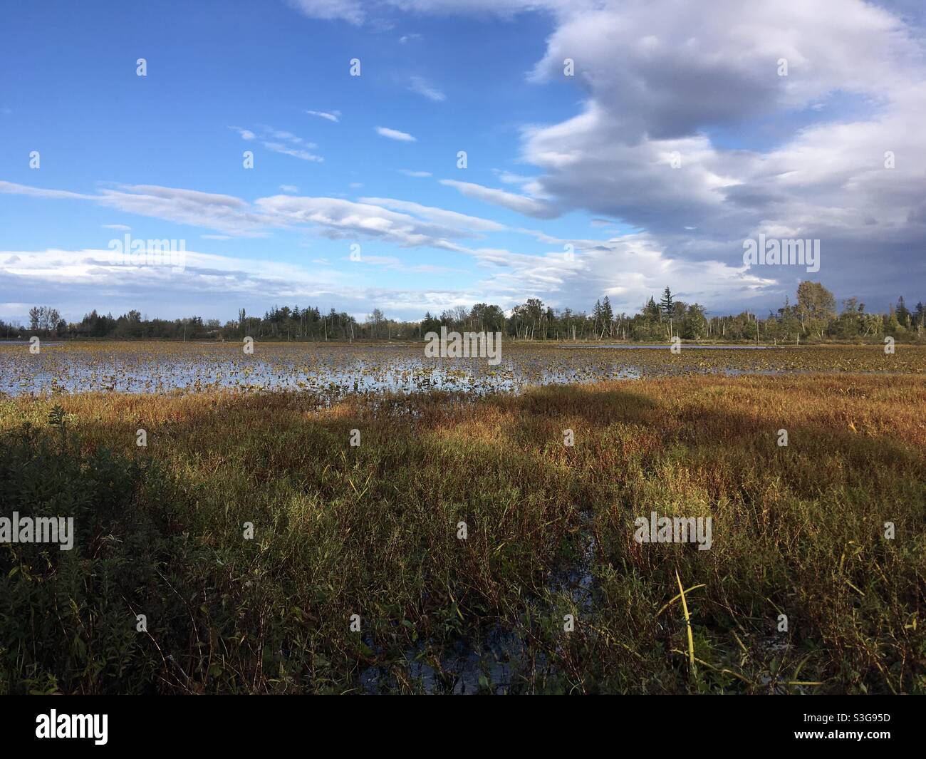 Tennant Lake Interpretive Center Ferndale Washington Stockfoto