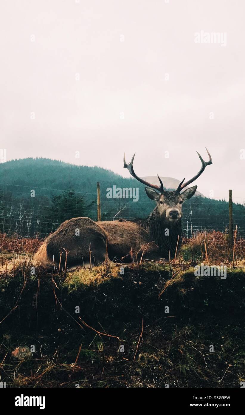 Gekühlt Stockfoto