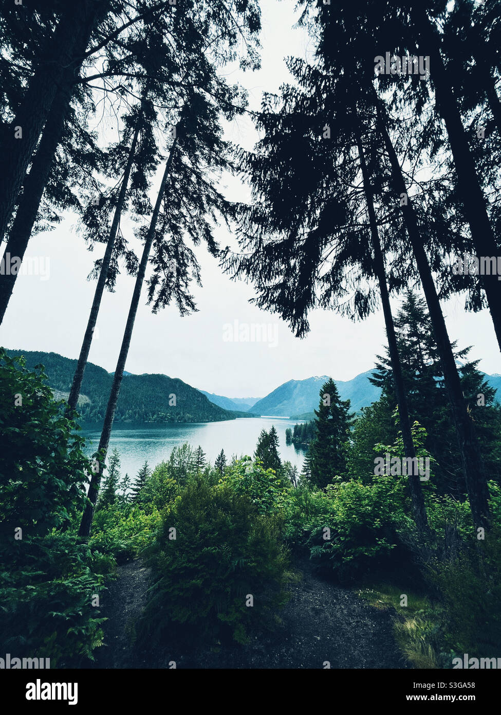 Lake Cushman, das Juwel des pazifischen Nordwestens Stockfoto