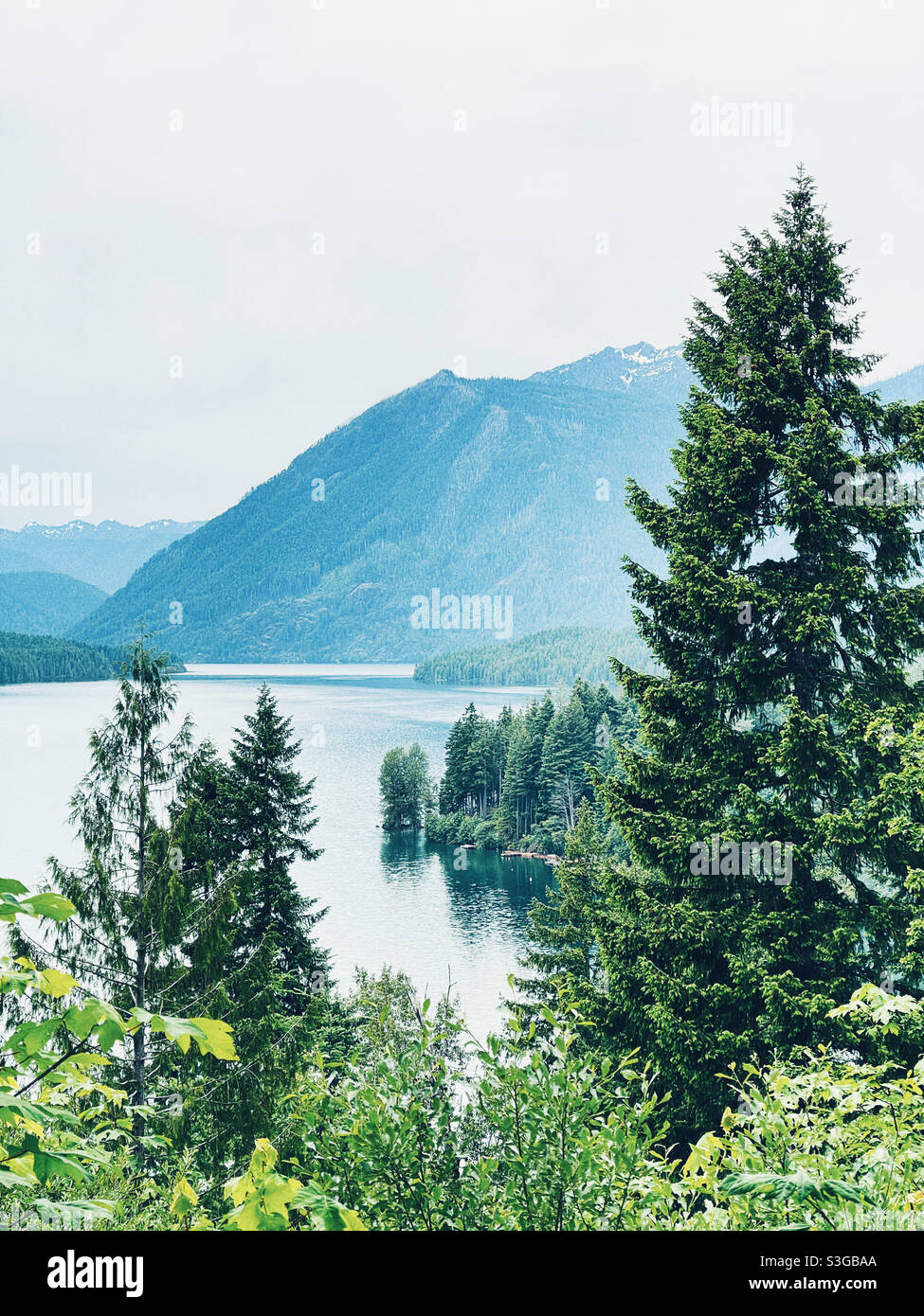 Lake Cushman, Olympischer Nationalbürger Stockfoto