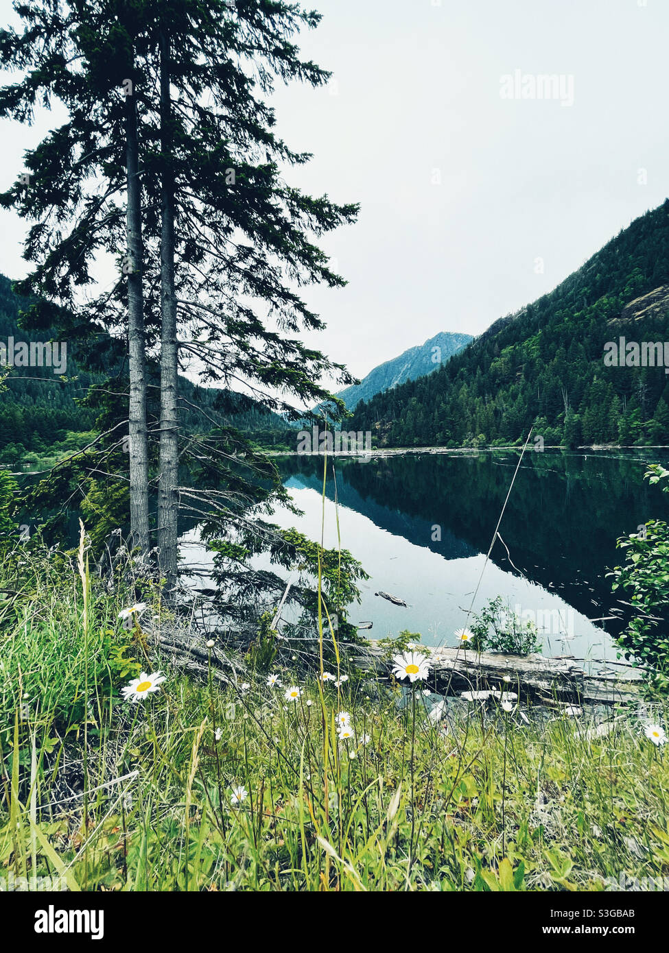 Sommer am See Cushman Stockfoto