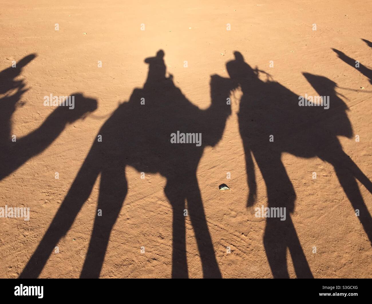 Schatten von Kamelen, die Menschen durch die Wüste der Sahara, Marokko, bewegen Stockfoto