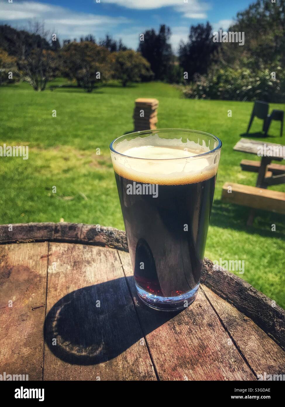 Ein Pint Craft-Bier in einem Garten an einem sonnigen Tag auf der Nordinsel Neuseelands Stockfoto