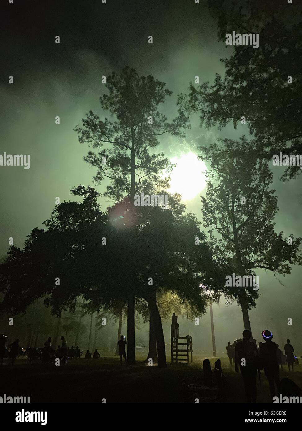 Menschen beobachten das Feuerwerk vom 4. Juli durch Zypressen und Nebel im Bogue Falaya Wayside Park. Stockfoto