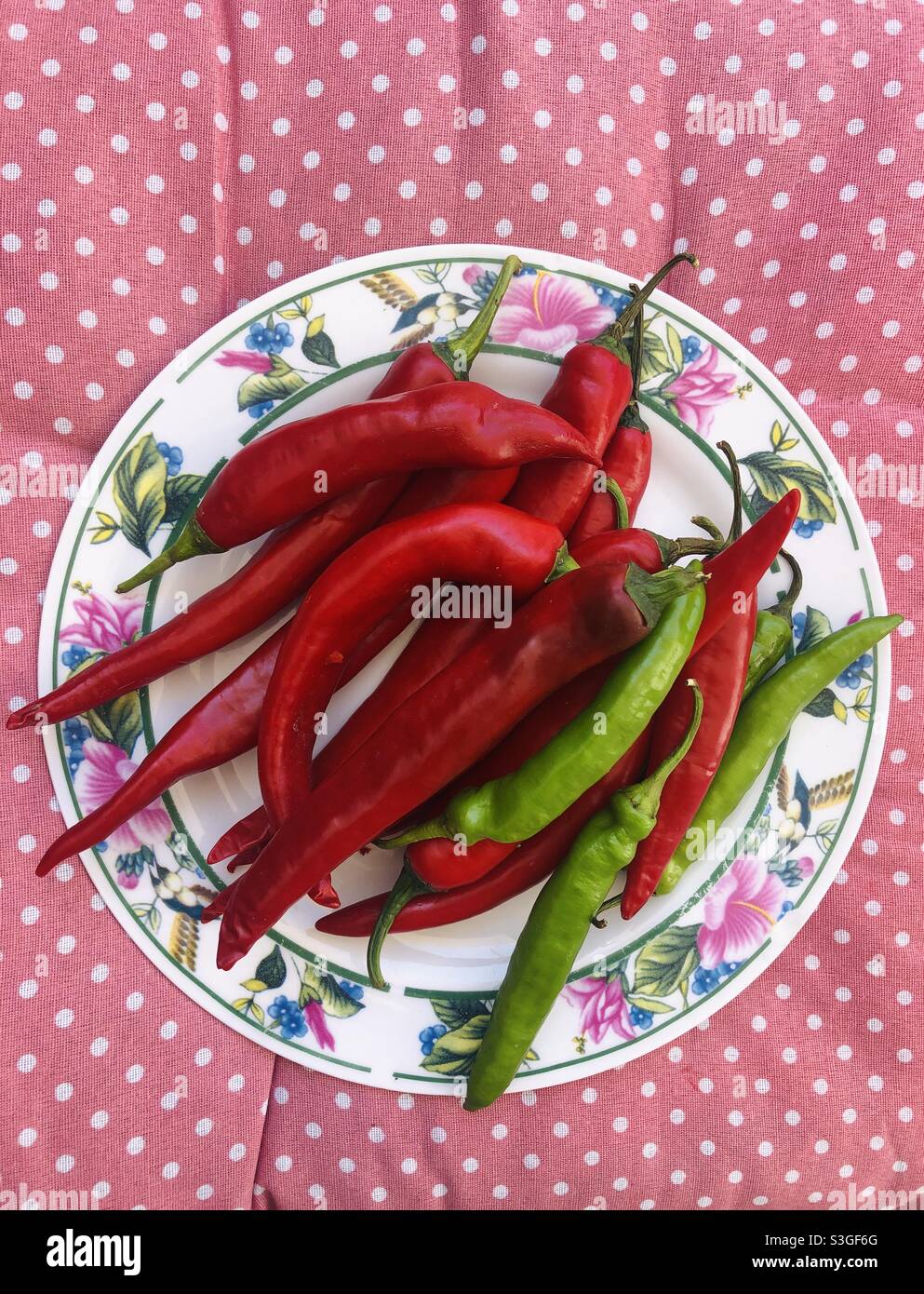 Red Hot Chili Peppers auf dem Teller auf dem rosa Hintergrund Stockfoto