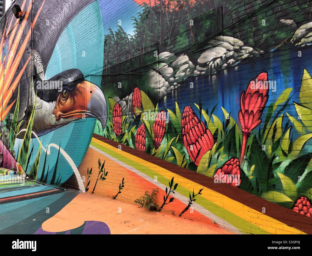 Ein farbenfrohes Stadtbild mit Naturmotiven in Toronto, Kanada. - Smartphone-aufgenommenes Stockfoto