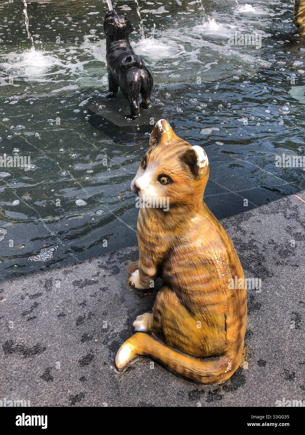Eine Katze- und Hundeskulptur schmückt einen Wasserbrunnen in der Innenstadt von Toronto, Kanada - Smartphone-aufgenommenes Stockfoto