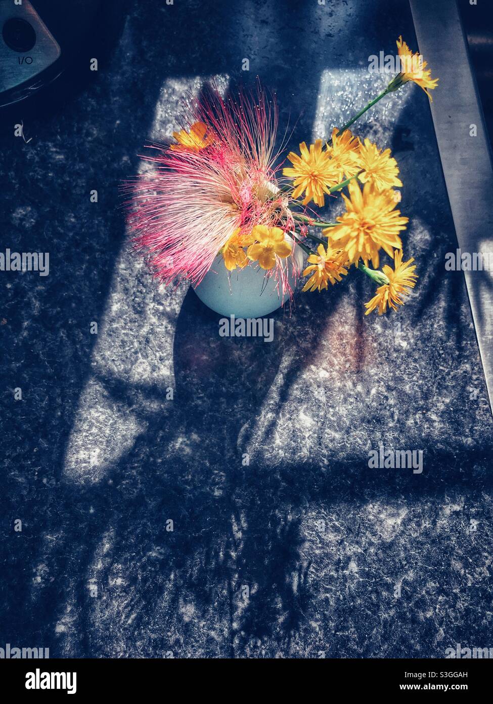 Kind’s posty in weißer Vase Stockfoto