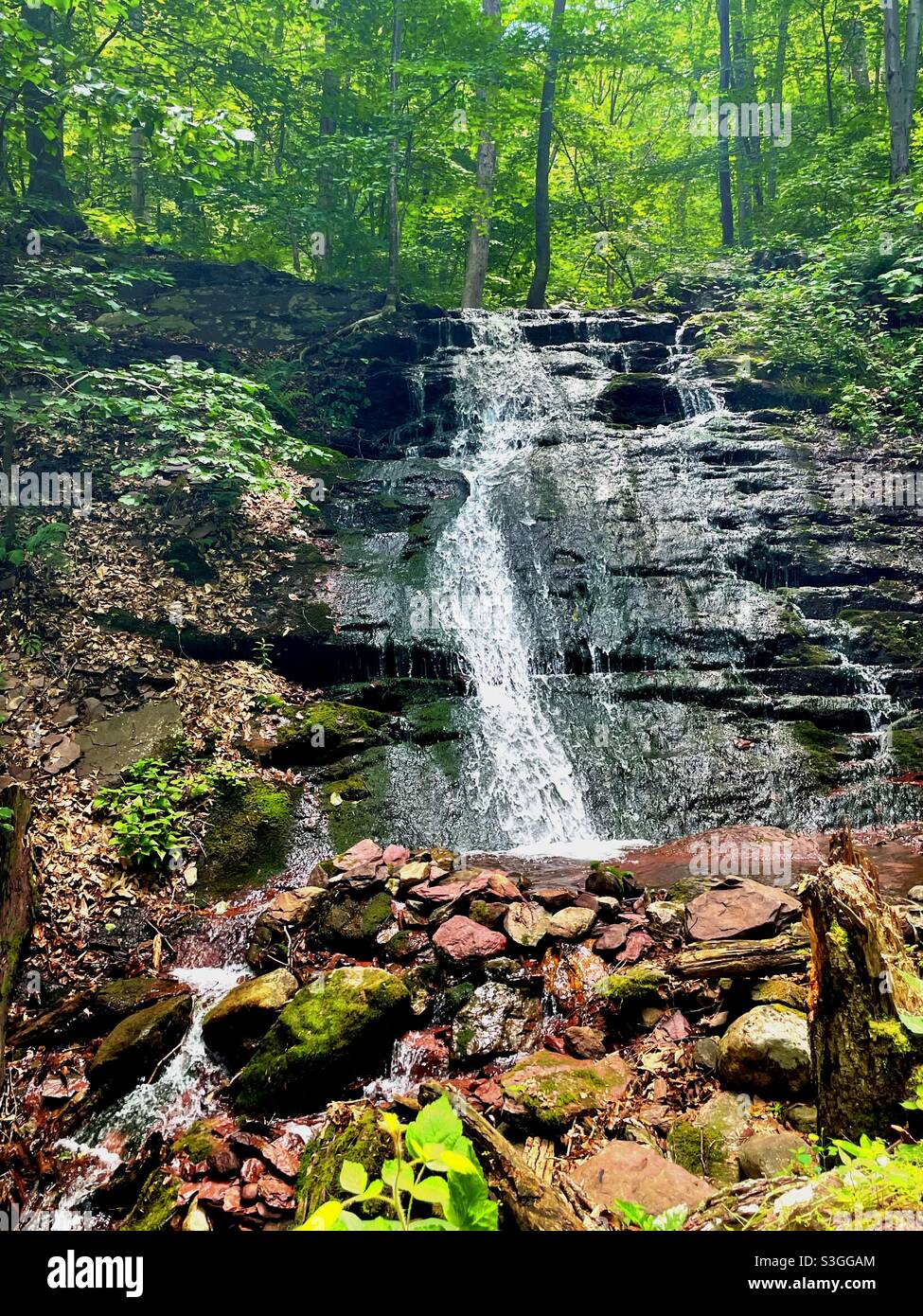 Wasserfall im worthington State Forest Stockfoto