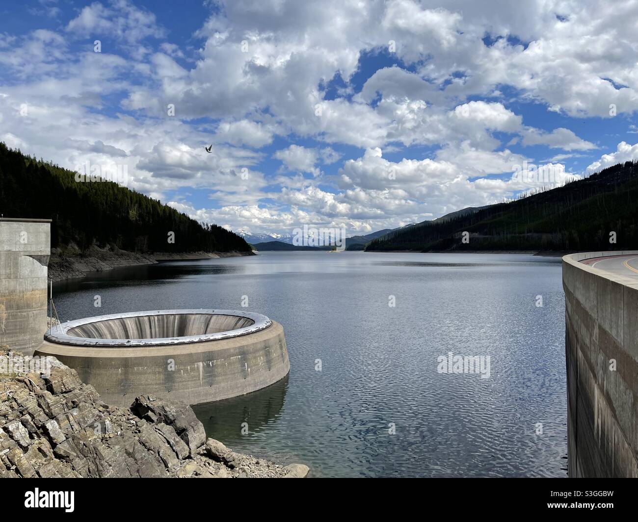 Hungriger pferdestall -Fotos und -Bildmaterial in hoher Auflösung - Alamy
