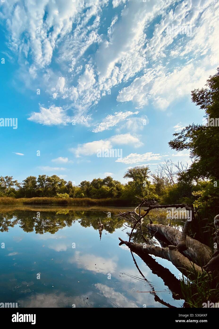 El Dorado Naturzentrum Reflexionen Stockfoto