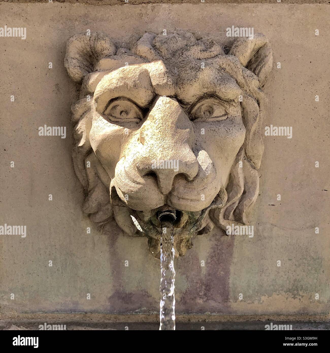 Löwenkopf-Brunnen. - Smartphone-aufgenommenes Stockfoto