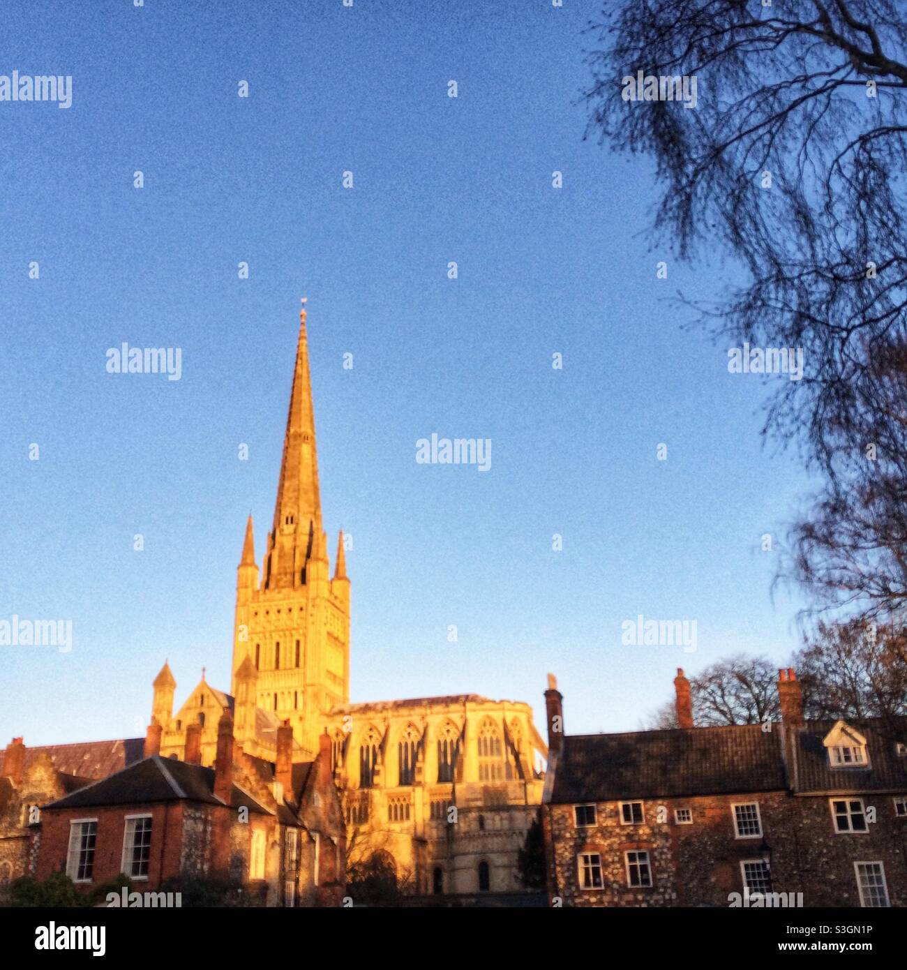 Norwich Cathedral Stockfoto
