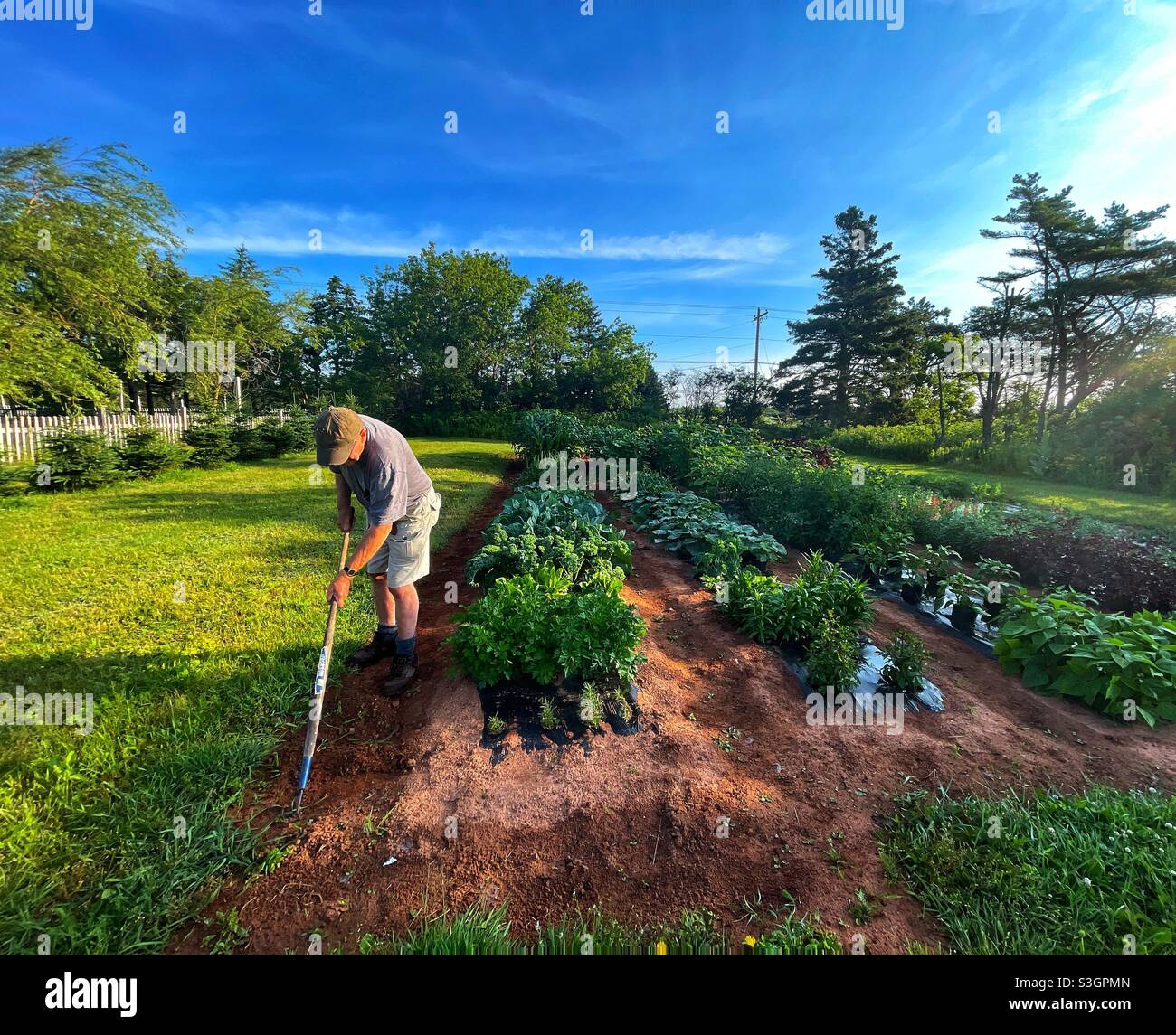 Hackender mann -Fotos und -Bildmaterial in hoher Auflösung – Alamy