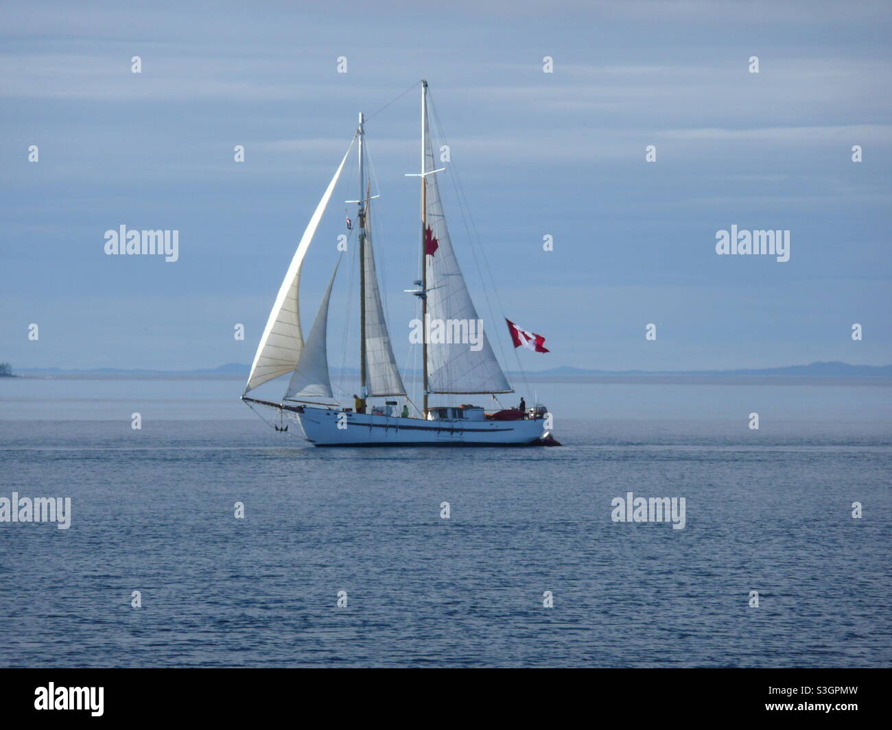 Kanadische Segel Stockfoto