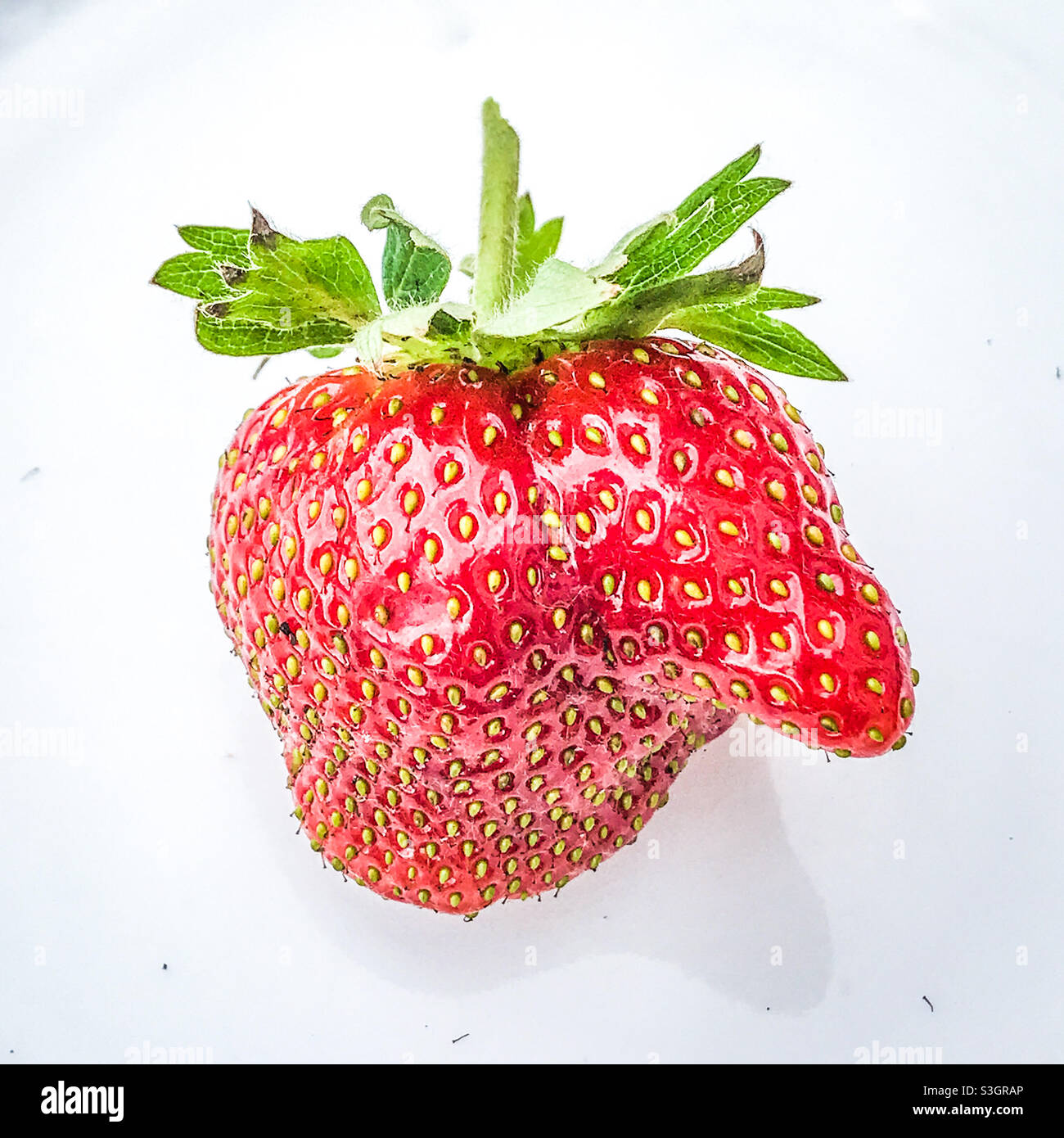 Eine wonky Erdbeere mit einer Nase Stockfoto