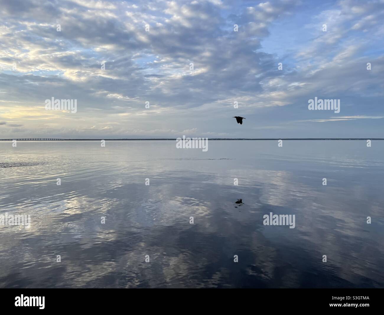 Weiche Abendwolken mit Vogel fliegen Silhouette über still Bay Wasser Stockfoto
