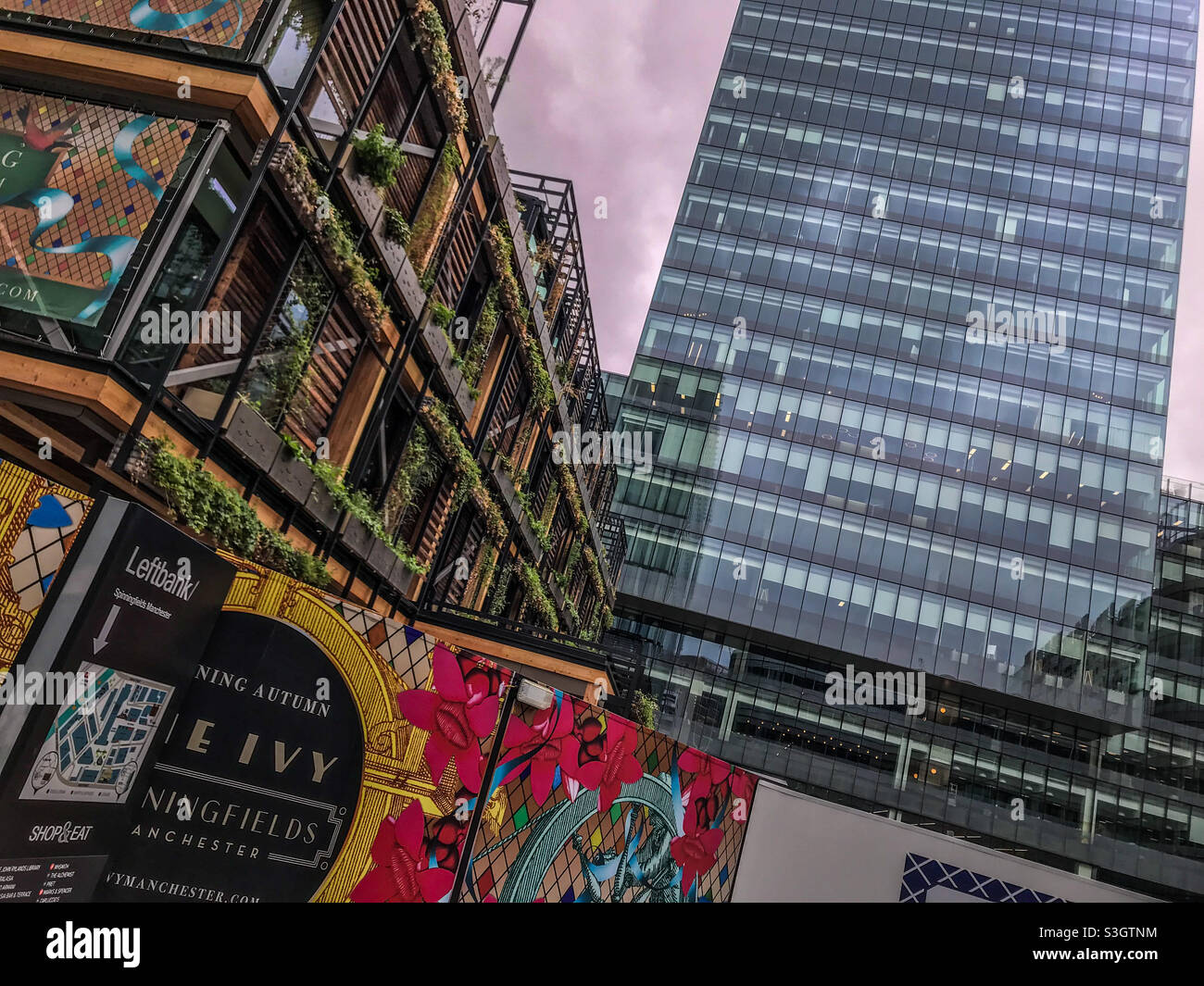 Das Ivy und der Turm - Smartphone-aufgenommenes Stockfoto