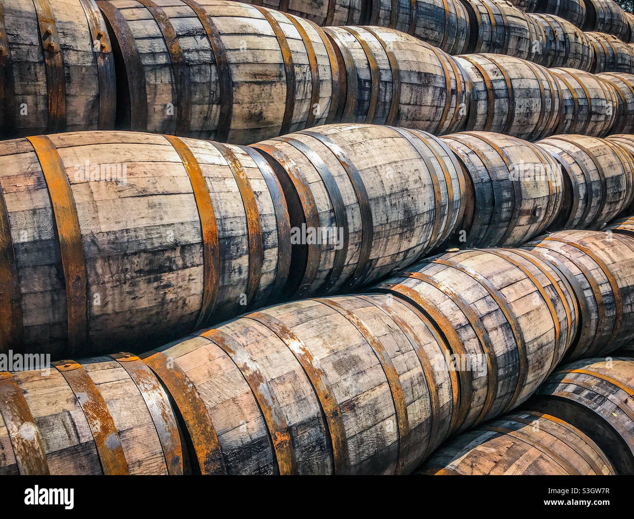 Whisky-Fässer aus Eichenholz in der Bladnoch Whisky Distillery in Dumfries und Galloway in Schottland Stockfoto