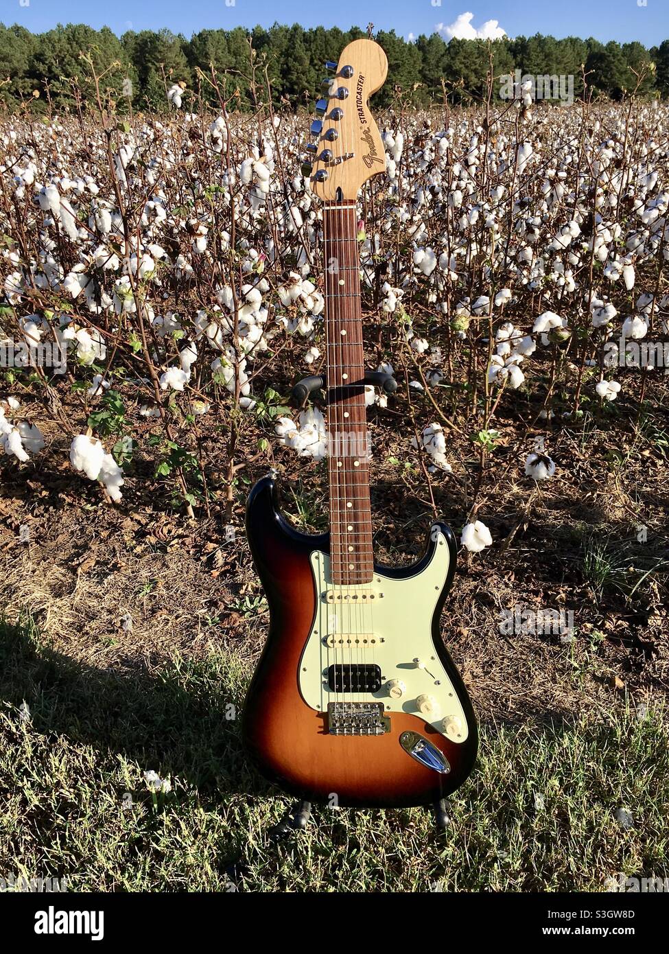 E-Gitarre in Baumwollfeldern Hintergrund Stockfoto