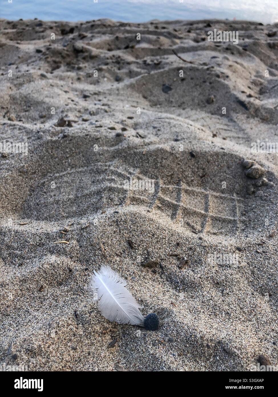 Eine kleine weiße Feder an einem Sandstrand. - Smartphone-aufgenommenes Stockfoto