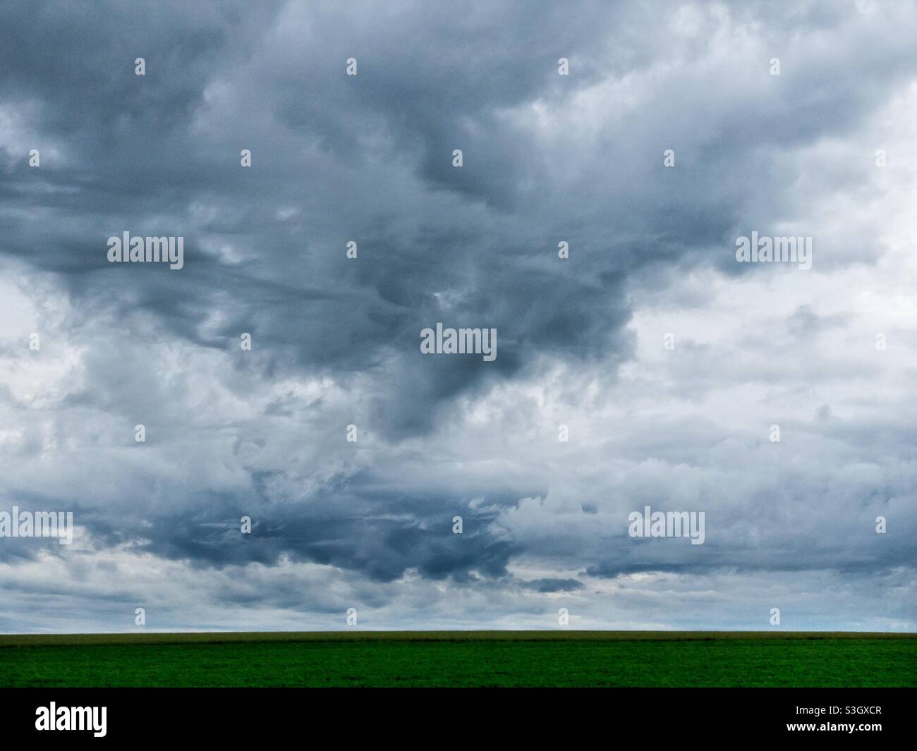 Stürmischer Himmel über einem riesigen grünen Feld. Stockfoto