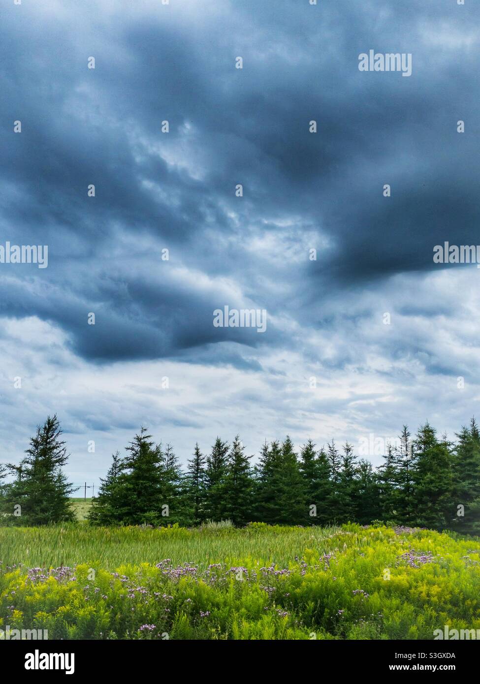 Stürmischer Himmel über einer ländlichen Landschaft. - Smartphone-aufgenommenes Stockfoto