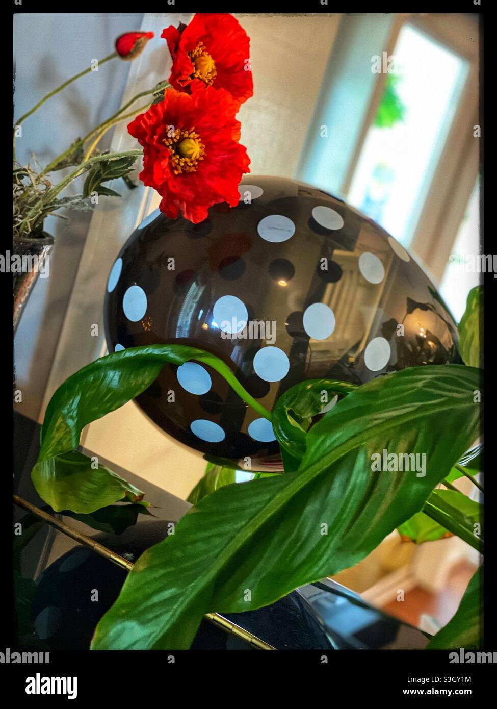 Polkadotballon zwischen den Blumen und der Pflanze Stockfoto