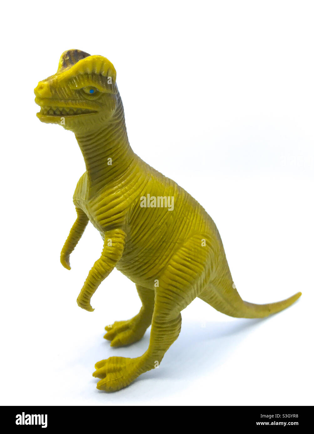 Gelber Allosaurus mit weißem Hintergrund Stockfoto
