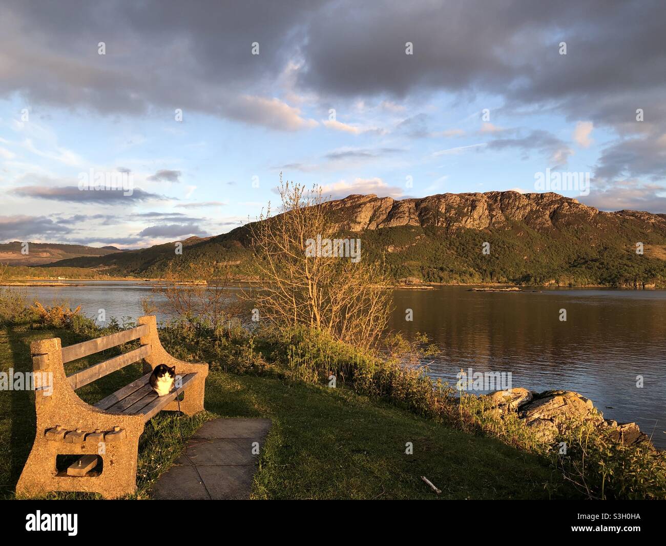 Goldene Stunde von Loch Carron Stockfoto