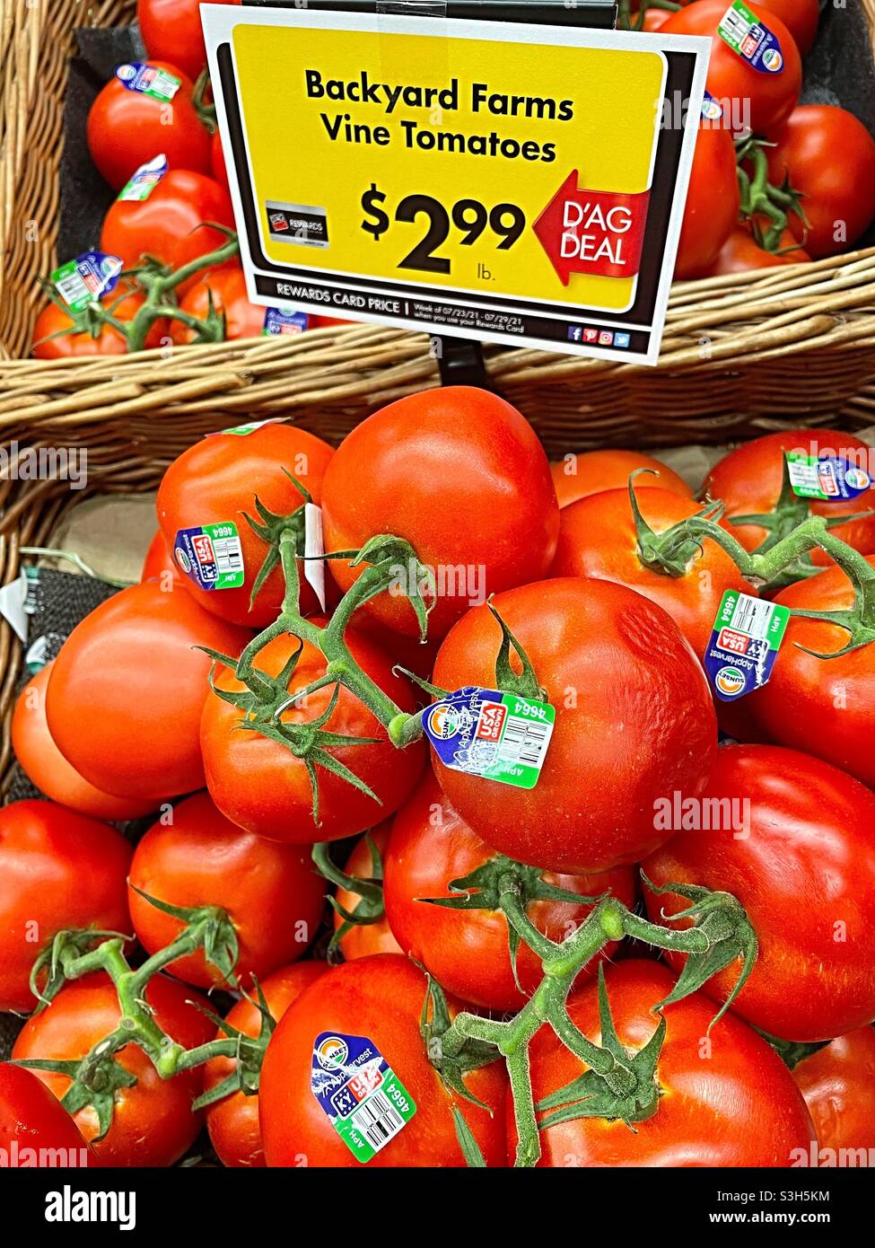 Reife Tomaten aus Weinreben werden in der Abteilung für Erzeugnisse von D’Agostino’s Grocery, NYC, USA, verkauft Stockfoto