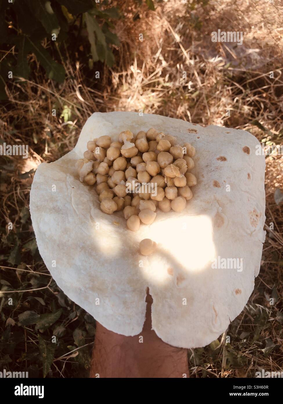Bio-Kichererbsen in Pitta-Brot serviert Stockfoto
