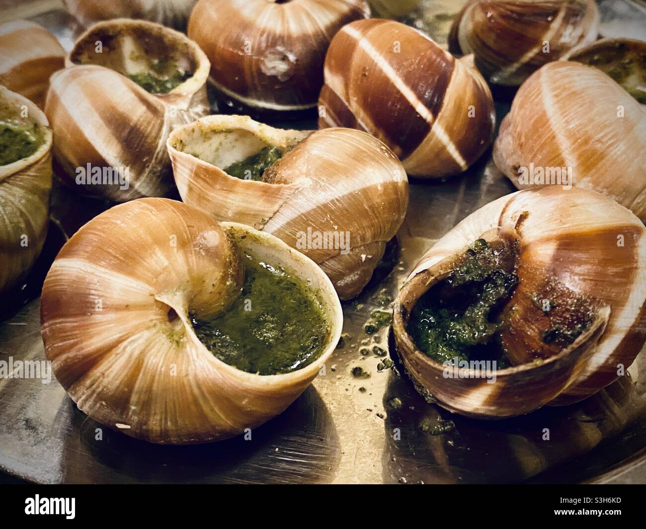 In Paris, Frankreich, wird in Pesto frischer und sukkkkulenter Escargot gekocht Stockfoto