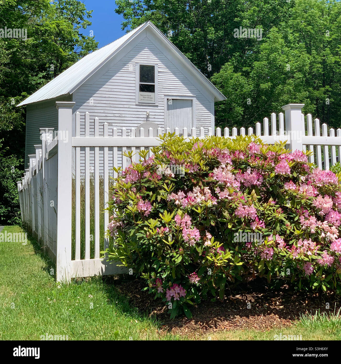 Juni 2021, Walpole, Usa Stockfoto