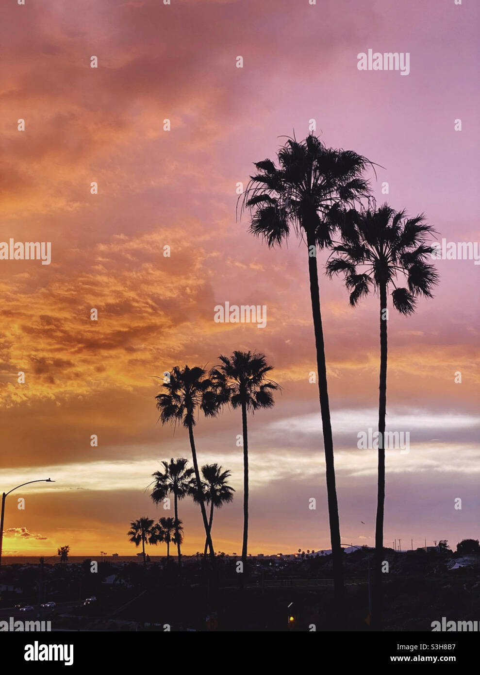 Palmen in orangefarbenem Südkalifornien-Sonnenuntergang Stockfoto