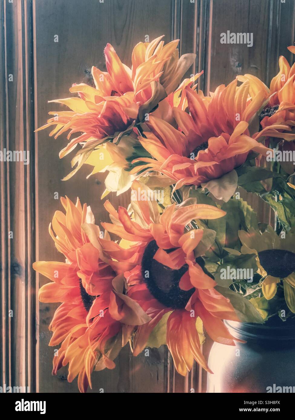 Sonnenblumen in einem schwarzen Einmachglas mit Retro-Effekt Stockfoto