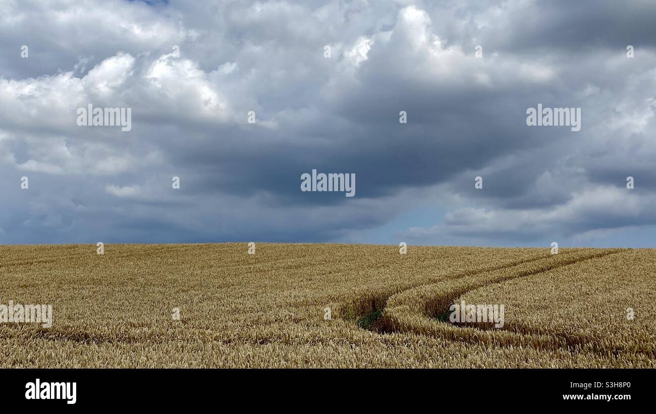 Lincolnshire Wolds in der Nähe von Louth - Smartphone-aufgenommenes Stockfoto