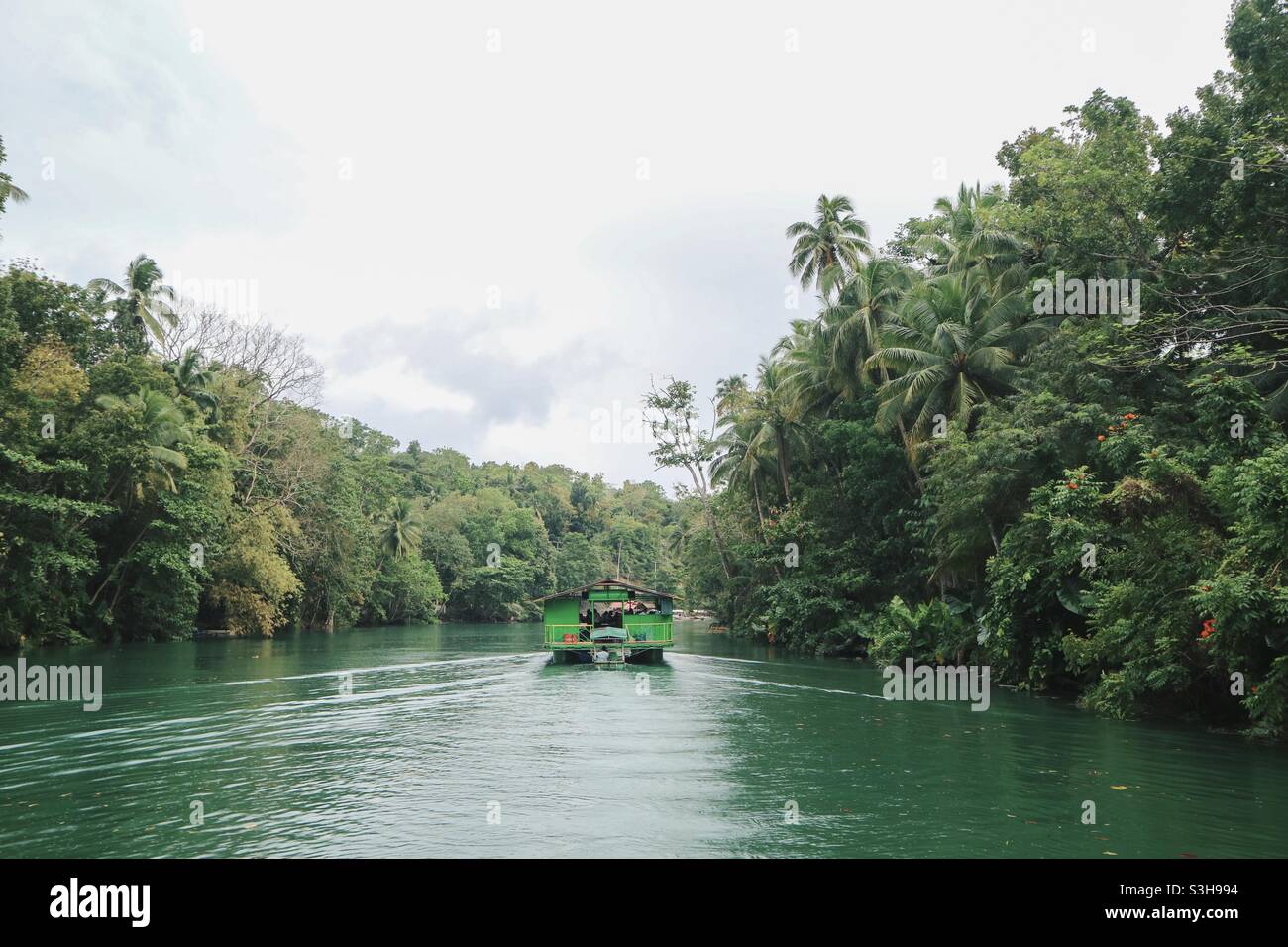 Bootstour auf dem Fluss in Bohol Stockfoto