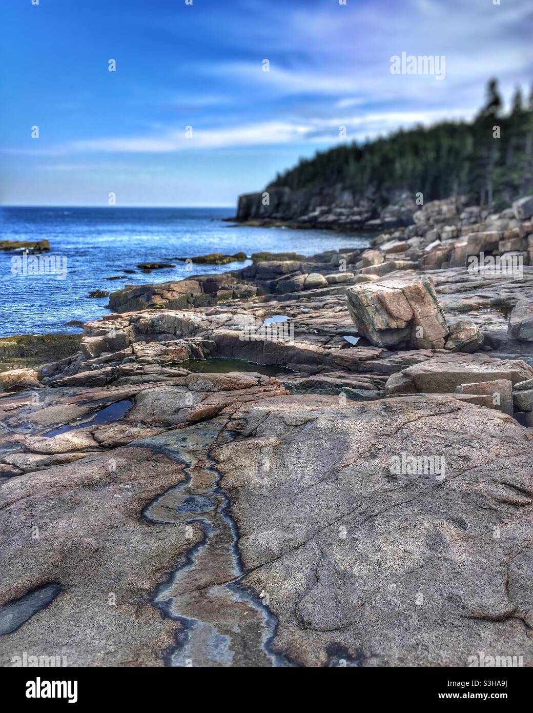 Natur- Felsen, Meer und Bäume. Stockfoto