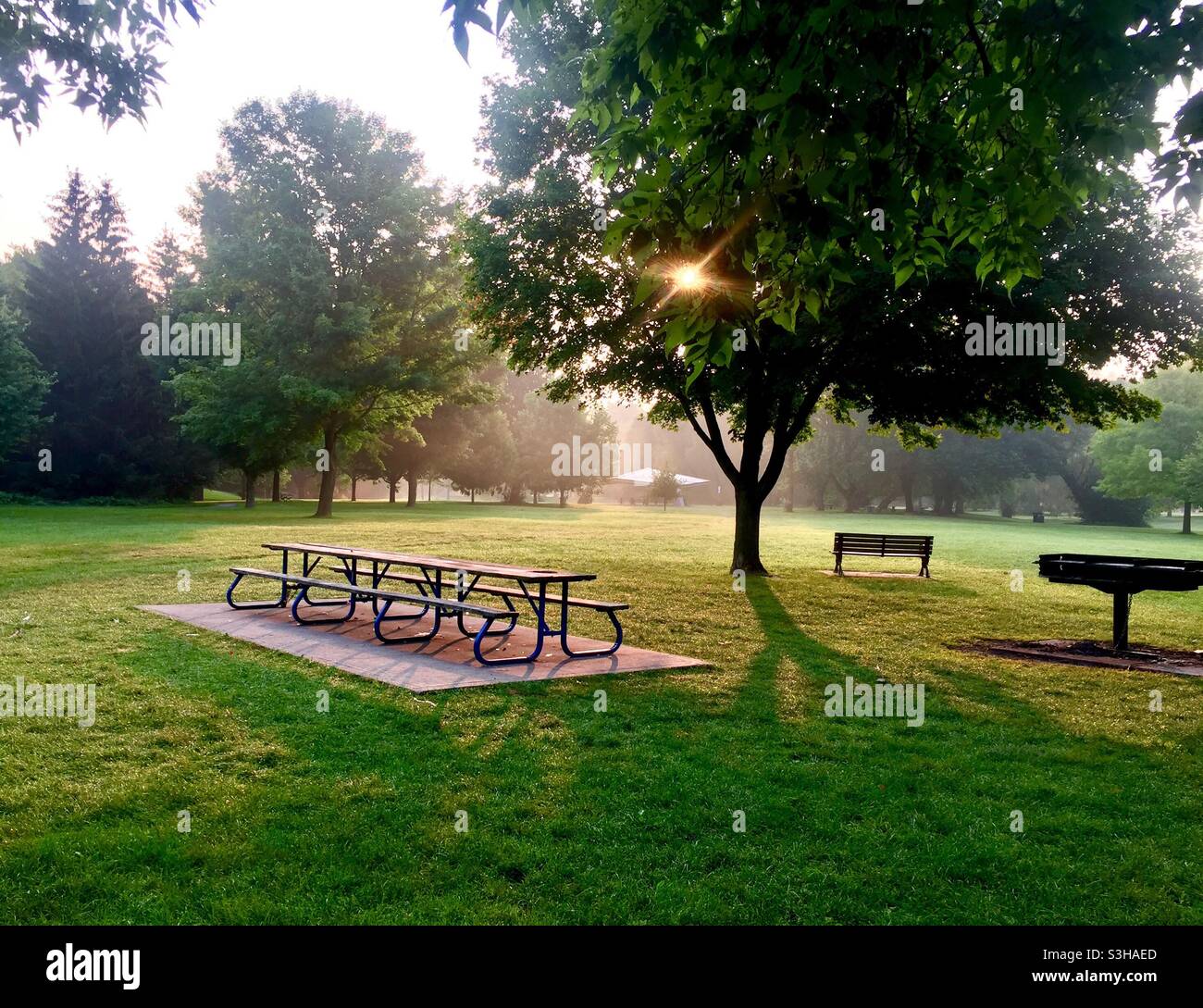 Ein Picknickplatz mit langem Tisch und BBQ in einem schönen Park. Gut ausgestattet, einladend, leer, Platz im Freien, die Sonne, die durch die Bäume guckt, Ontario, Kanada Stockfoto