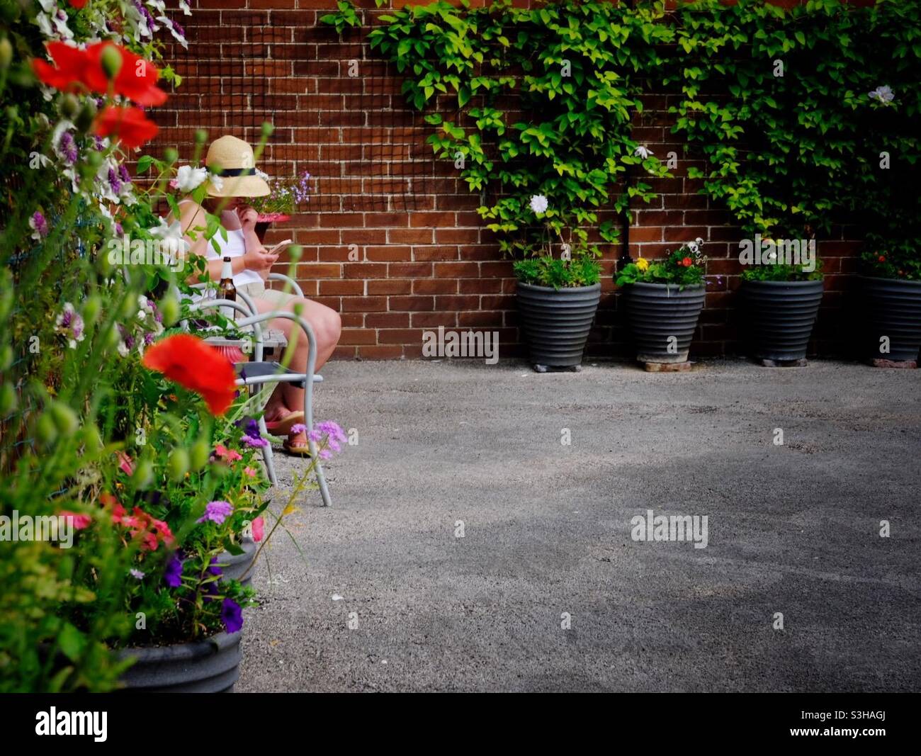 Frauen In Den Blumen - Smartphone-aufgenommenes Stockfoto